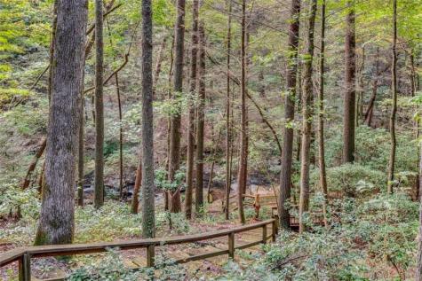 593 Goldmine Drive Ellijay GA 30536